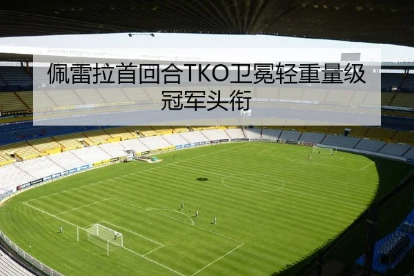 佩雷拉首回合TKO卫冕轻重量级冠军头衔